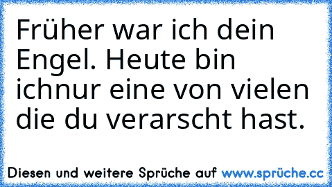 Früher war ich dein Engel. Heute bin ich
nur eine von vielen die du verarscht hast.