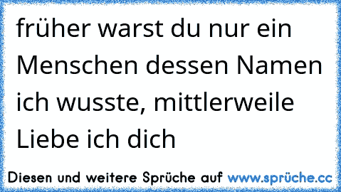 früher warst du nur ein Menschen dessen Namen ich wusste, mittlerweile Liebe ich dich  ♥