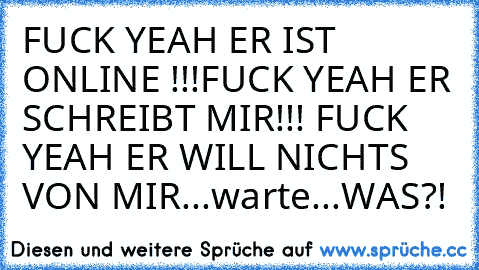 FUCK YEAH ER IST ONLINE !!!
FUCK YEAH ER SCHREIBT MIR!!! 
FUCK YEAH ER WILL NICHTS VON MIR...warte...WAS?!