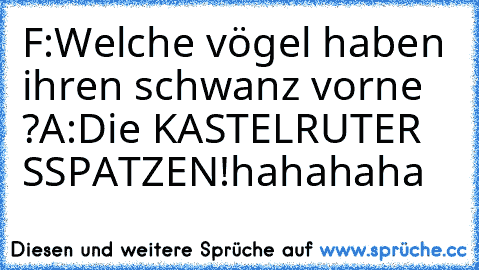 F:Welche vögel haben ihren schwanz vorne ?
A:Die KASTELRUTER SSPATZEN!
hahahaha