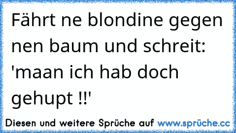 Fährt ne blondine gegen nen baum und schreit: 'maan ich hab doch gehupt !!'