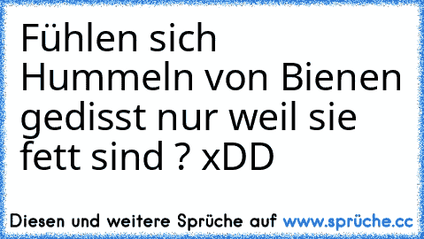 Fühlen sich Hummeln von Bienen gedisst nur weil sie fett sind ? xDD