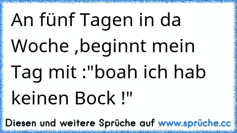 An fünf Tagen in da Woche ,beginnt mein Tag mit :"boah ich hab keinen Bock !"