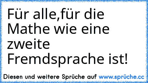 Für alle,für die Mathe wie eine zweite Fremdsprache ist!