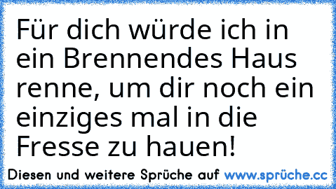 Für dich würde ich in ein Brennendes Haus renne, um dir noch ein einziges mal in die Fresse zu hauen!