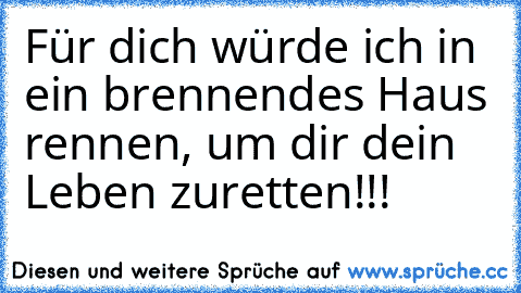 Für dich würde ich in ein brennendes Haus rennen, um dir dein Leben zuretten!!!