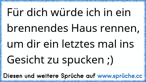 Für dich würde ich in ein brennendes Haus rennen, um dir ein letztes mal ins Gesicht zu spucken ;)