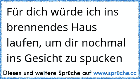 Für dich würde ich ins brennendes Haus laufen, um dir nochmal ins Gesicht zu spucken