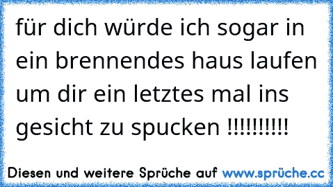 für dich würde ich sogar in ein brennendes haus laufen um dir ein letztes mal ins gesicht zu spucken !!!!!!!!!!