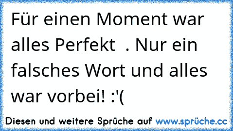 Für einen Moment war alles Perfekt ♥ . Nur ein falsches Wort und alles war vorbei! :'(