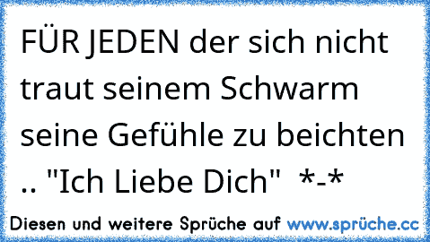 FÜR JEDEN der sich nicht traut seinem Schwarm seine Gefühle zu beichten .. "Ich Liebe Dich" ♥ *-*