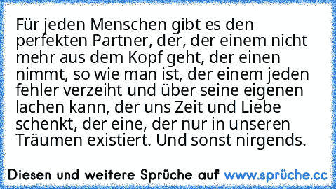 Für jeden Menschen gibt es den perfekten Partner, der, der einem nicht mehr aus dem Kopf geht, der einen nimmt, so wie man ist, der einem jeden fehler verzeiht und über seine eigenen lachen kann, der uns Zeit und Liebe schenkt, der eine, der nur in unseren Träumen existiert. Und sonst nirgends.