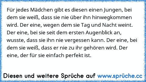 Für jedes Mädchen gibt es diesen einen Jungen, bei dem sie weiß, dass sie nie über ihn hinwegkommen wird. Der eine, wegen dem sie Tag und Nacht weint. Der eine, bei sie seit dem ersten Augenblick an, wusste, dass sie ihn nie vergessen kann. Der eine, bei dem sie weiß, dass er nie zu ihr gehören wird. Der eine, der für sie einfach perfekt ist. 