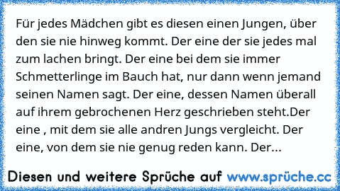 Für jedes Mädchen gibt es diesen einen Jungen, über den sie nie hinweg kommt. Der eine der sie jedes mal zum lachen bringt. Der eine bei dem sie immer Schmetterlinge im Bauch hat, nur dann wenn jemand seinen Namen sagt. Der eine, dessen Namen überall auf ihrem gebrochenen Herz geschrieben steht.
Der eine , mit dem sie alle andren Jungs vergleicht. Der eine, von dem sie nie genug reden kann. Der...