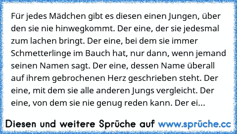 Für jedes Mädchen gibt es diesen einen Jungen, über den sie nie hinwegkommt. Der eine, der sie jedesmal zum lachen bringt. Der eine, bei dem sie immer Schmetterlinge im Bauch hat, nur dann, wenn jemand seinen Namen sagt. Der eine, dessen Name überall auf ihrem gebrochenen Herz geschrieben steht. Der eine, mit dem sie alle anderen Jungs vergleicht. Der eine, von dem sie nie genug reden kann. Der ei...