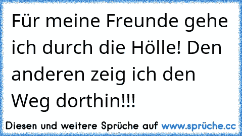 Für meine Freunde gehe ich durch die Hölle! Den anderen zeig ich den Weg dorthin!!! ♥