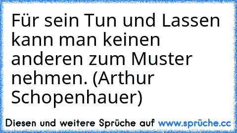 Für sein Tun und Lassen kann man keinen anderen zum Muster nehmen. (Arthur Schopenhauer)