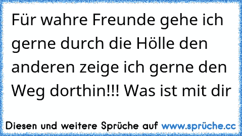 Für wahre Freunde gehe ich gerne durch die Hölle den anderen zeige ich gerne den Weg dorthin!!! Was ist mit dir