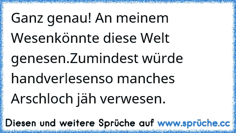 Ganz genau! An meinem Wesen
könnte diese Welt genesen.
Zumindest würde handverlesen
so manches Arschloch jäh verwesen.