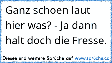 Ganz schoen laut hier was? - Ja dann halt doch die Fresse.