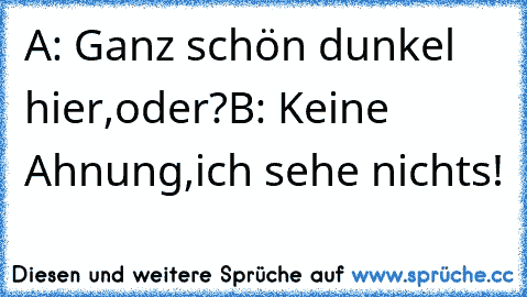 A: Ganz schön dunkel hier,oder?
B: Keine Ahnung,ich sehe nichts!