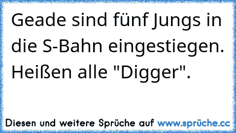 Geade sind fünf Jungs in die S-Bahn eingestiegen. Heißen alle "Digger".