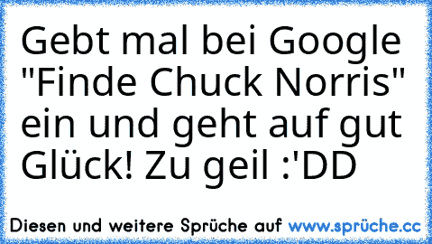 Gebt mal bei Google "Finde Chuck Norris" ein und geht auf gut Glück! Zu geil :'DD