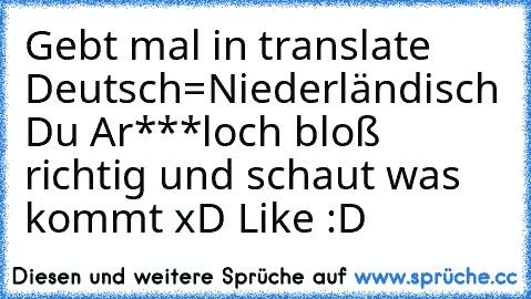 Gebt mal in translate Deutsch=Niederländisch Du Ar***loch bloß richtig und schaut was kommt xD 
Like :D