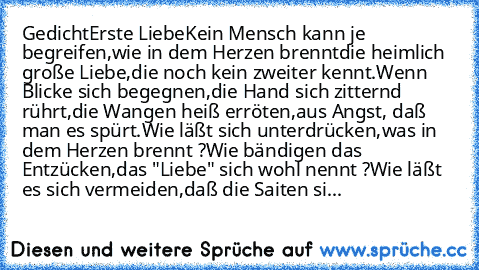 Gedicht
Erste Liebe
Kein Mensch kann je begreifen,
wie in dem Herzen brennt
die heimlich große Liebe,
die noch kein zweiter kennt.
Wenn Blicke sich begegnen,
die Hand sich zitternd rührt,
die Wangen heiß erröten,
aus Angst, daß man es spürt.
Wie läßt sich unterdrücken,
was in dem Herzen brennt ?
Wie bändigen das Entzücken,
das "Liebe" sich wohl nennt ?
Wie läßt es sich vermeiden,
daß die Saiten...