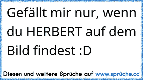 Gefällt mir nur, wenn du HERBERT auf dem Bild findest :D