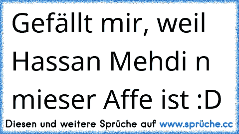 Gefällt mir, weil Hassan Mehdi n mieser Affe ist :D