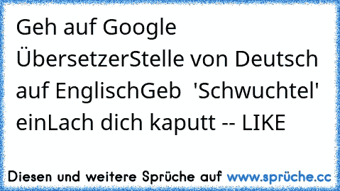 Geh auf Google Übersetzer
Stelle von Deutsch auf Englisch
Geb  'Schwuchtel' ein
Lach dich kaputt -- LIKE♥