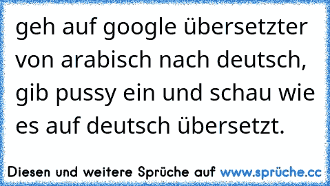 geh auf google übersetzter von arabisch nach deutsch, gib pussy ein und schau wie es auf deutsch übersetzt.