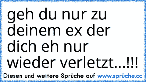 geh du nur zu deinem ex der dich eh nur wieder verletzt...!!!