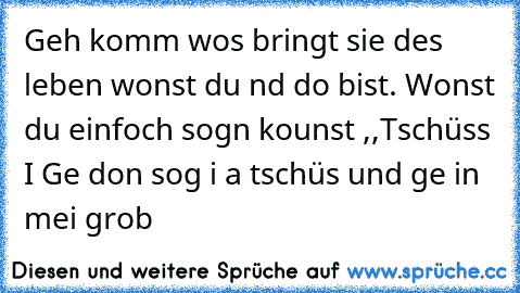 Geh komm wos bringt sie des leben wonst du nd do bist. Wonst du einfoch sogn kounst ,,Tschüss I Ge´´ don sog i a tschüs und ge in mei grob 