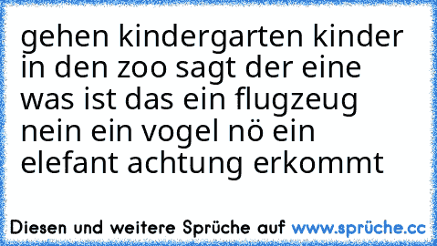 gehen kindergarten kinder in den zoo sagt der eine 
was ist das ein flugzeug nein ein vogel nö ein elefant achtung erkommt