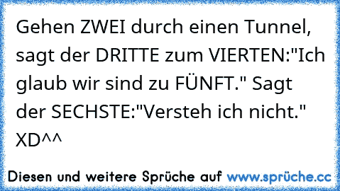 Gehen ZWEI durch einen Tunnel, sagt der DRITTE zum VIERTEN:"Ich glaub wir sind zu FÜNFT." Sagt der SECHSTE:"Versteh ich nicht." XD^^