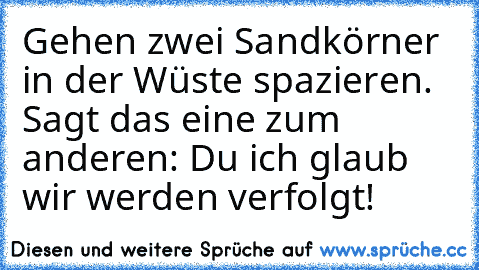 Gehen zwei Sandkörner in der Wüste spazieren. Sagt das eine zum anderen: Du ich glaub wir werden verfolgt!