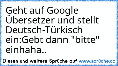 Geht auf Google Übersetzer und stellt Deutsch-Türkisch ein:
Gebt dann "bitte" ein
haha..