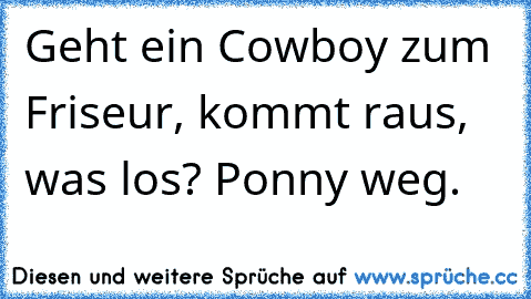 Geht ein Cowboy zum Friseur, kommt raus, was los? Ponny weg.