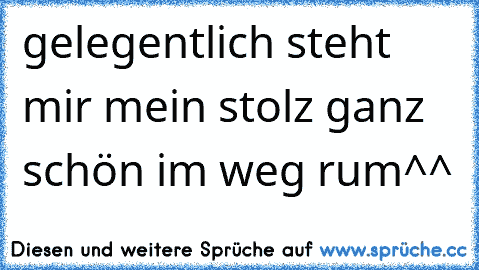 gelegentlich steht mir mein stolz ganz schön im weg rum^^