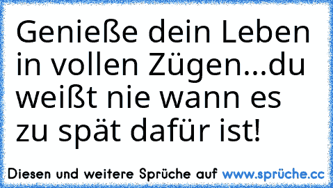 Genieße dein Leben in vollen Zügen...du weißt nie wann es zu spät dafür ist!