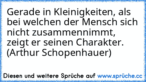 Gerade in Kleinigkeiten, als bei welchen der Mensch sich nicht zusammennimmt, zeigt er seinen Charakter. (Arthur Schopenhauer)