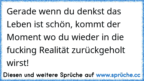 Gerade wenn du denkst das Leben ist schön, kommt der Moment wo du wieder in die fucking Realität zurückgeholt wirst!