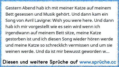 Gestern Abend hab ich mit meiner Katze auf meinem Bett gesessen und Musik gehört. Und dann kam ein Song von Avril Lavigne: Wish you were here. Und dann hab ich mir vorgestellt wie es sein wird wenn ich irgendwann auf meinem Bett sitze, meine Katze gestorben ist und ich diesen Song wieder hören werde und meine Katze so schrecklich vermissen und um sie weinen werde. Und da ist mir bewusst geworde...