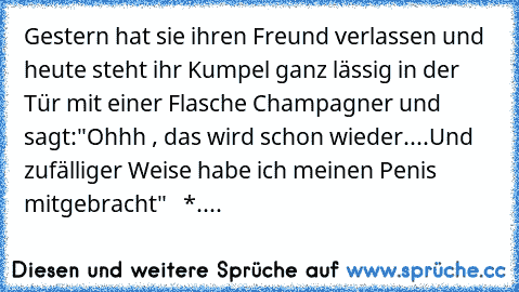 Gestern hat sie ihren Freund verlassen und heute steht ihr Kumpel ganz lässig in der Tür mit einer Flasche Champagner und sagt:"Ohhh , das wird schon wieder....Und zufälliger Weise habe ich meinen Penis mitgebracht"   *....