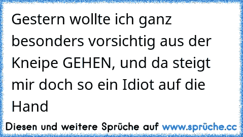 Gestern wollte ich ganz besonders vorsichtig aus der Kneipe GEHEN, und da steigt mir doch so ein Idiot auf die Hand…