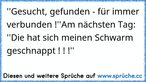 ''Gesucht, gefunden - für immer verbunden !''
Am nächsten Tag: ''Die hat sich meinen Schwarm geschnappt ! ! !''