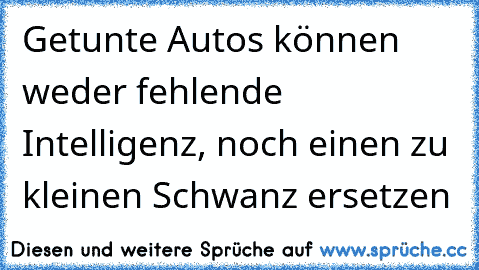 Getunte Autos können weder fehlende Intelligenz, noch einen zu kleinen Schwanz ersetzen