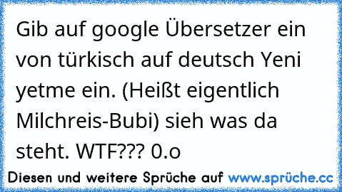 Gib auf google Übersetzer ein von türkisch auf deutsch Yeni yetme ein. (Heißt eigentlich Milchreis-Bubi) sieh was da steht. WTF??? 0.o